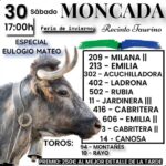 TOROS MONCADA 30 DICIEMBRE 2023