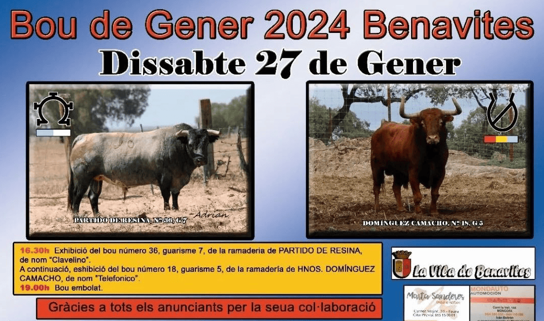 TOROS BENAVITES 27 ENERO 2024