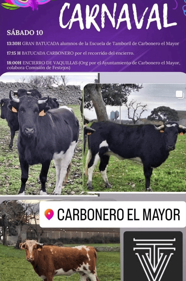TOROS CARBONERO EL MAYOR 10 FEBRERO 2024