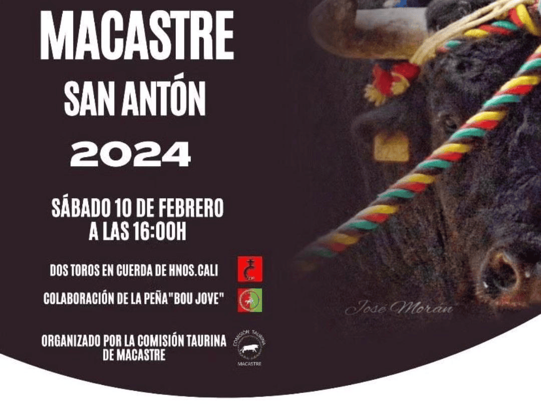 TOROS MACASTRE 10 FEBRERO 2024