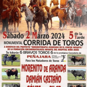 TOROS VILLASECA DE LA SAGRA 2 MARZO 2024