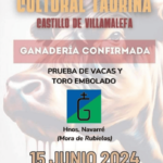 TOROS CASTILLO DE VILLAMALEFA 15 JUNIO 2024