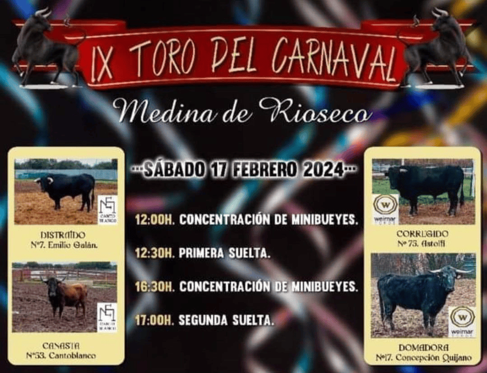 TOROS MEDINA DE RIOSECO 17 FEBRERO 2024