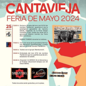 TOROS CANTAVIEJA 25 MAYO 2024