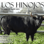 TOROS LOS HINOJOSOS 17 AGOSTO 2024