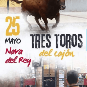 TOROS NAVA DEL REY 25 MAYO 2024