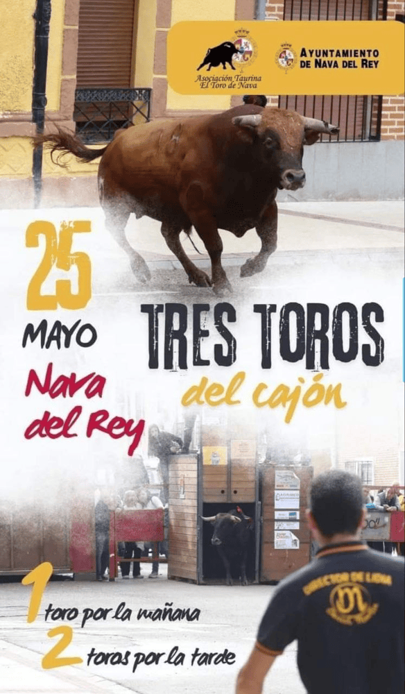 TOROS NAVA DEL REY 25 MAYO 2024