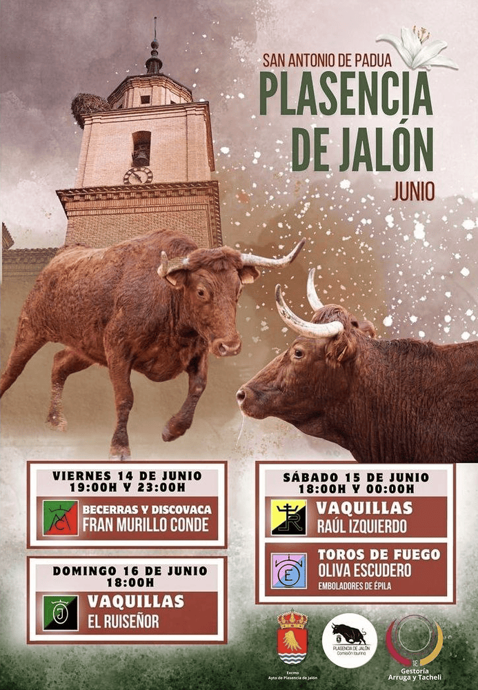 TOROS PLASENCIA DE JALÓN 14 A 16 JUNIO 2024