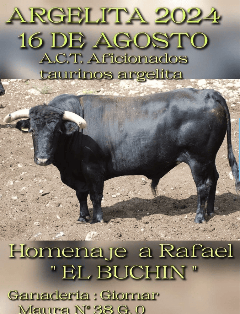 TOROS ARGELITA 16 AGOSTO 2024