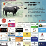 TOROS BORRIOL 23 AGOSTO 2024