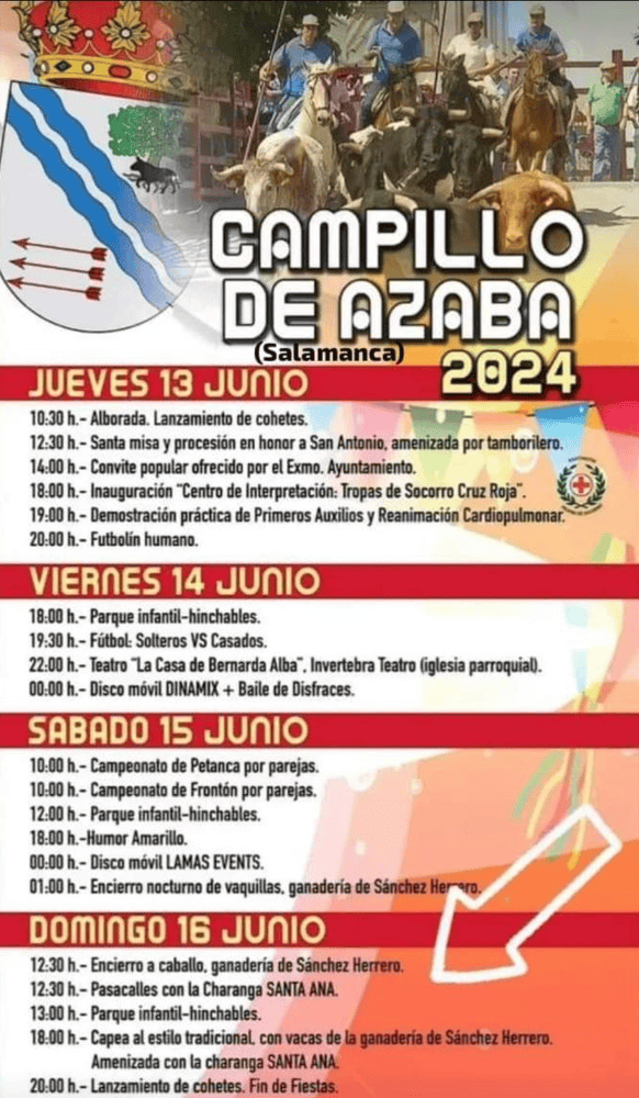 TOROS CAMPILLO DE AZABA 15 Y 16 JUNIO 2024