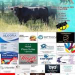 TOROS LA VALL D’UIXÓ 22 JUNIO 2024