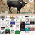 TOROS LES ALQUERIES 29 JUNIO 2024