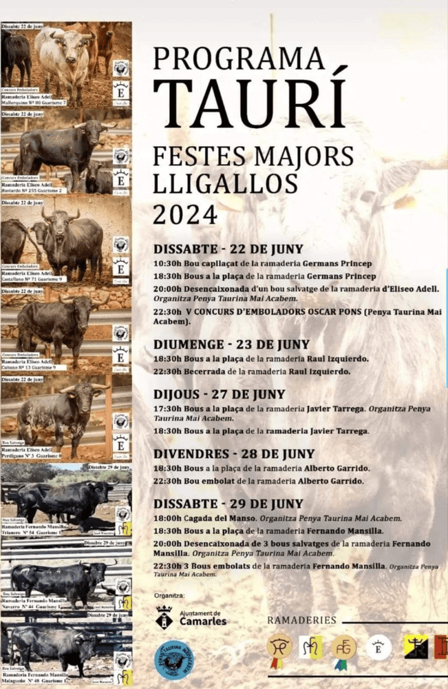 TOROS LLIGALLOS 22 A 29 JUNIO 2024