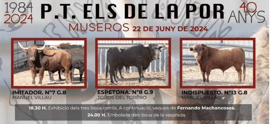 TOROS MUSEROS 22 JUNIO 2024