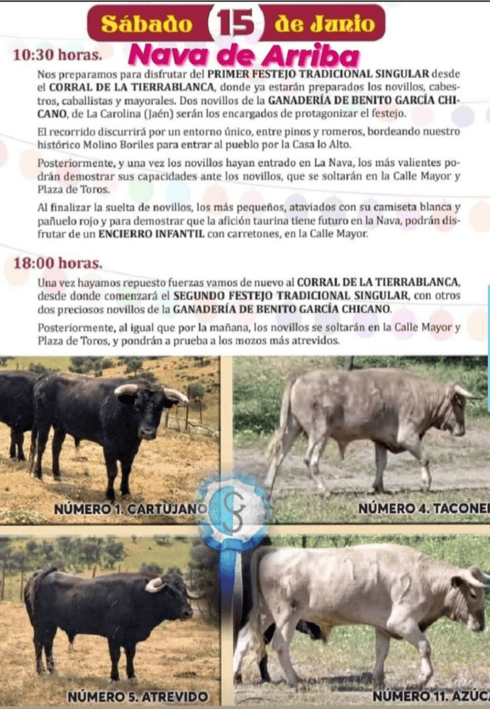 TOROS NAVA DE ARRIBA 15 JUNIO 2024