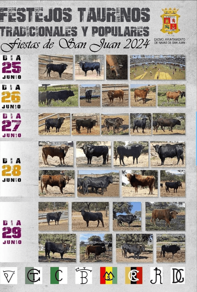 TOROS NAVAS DE SAN JUAN 25 A 29 JUNIO 2024