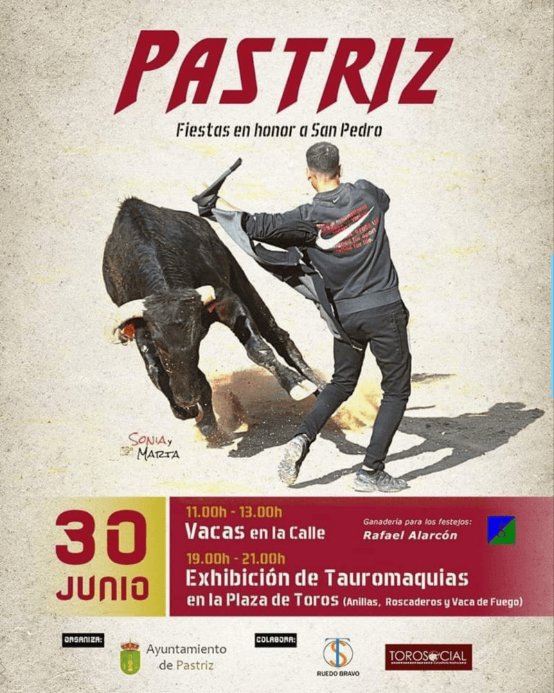 TOROS PASTRIZ 30 JUNIO 2024