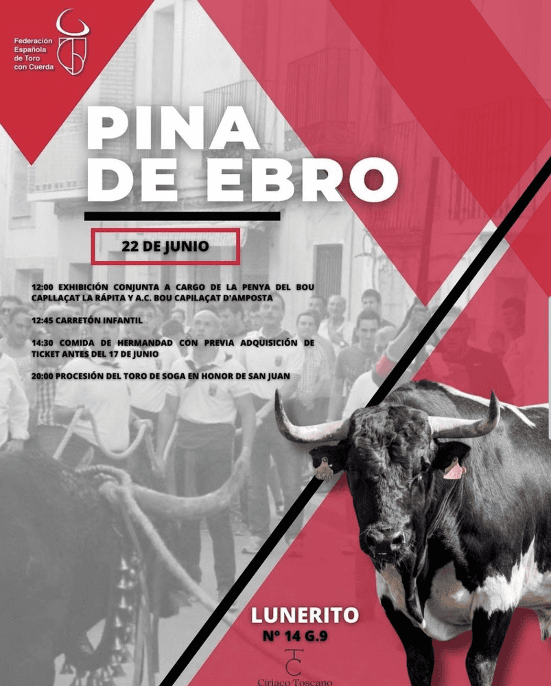 TOROS PINA DE EBRO 22 JUNIO 2024