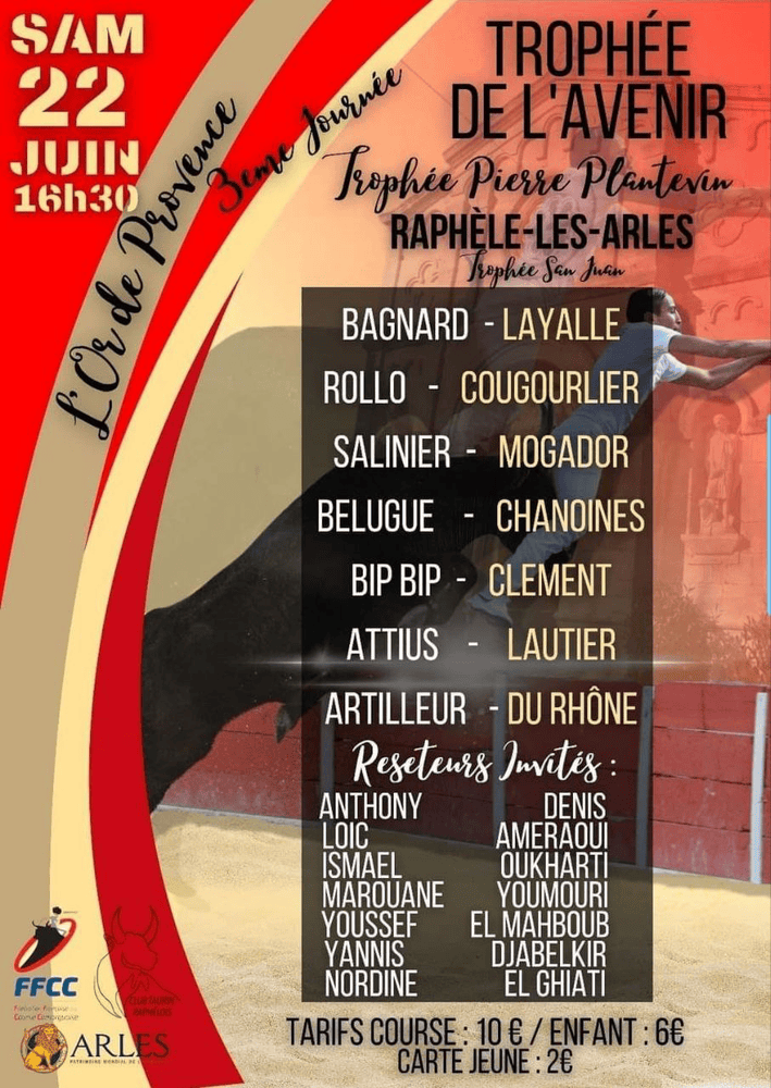 TOROS RAPHÈLE-LES-ARLES 22 JUNIO 2024