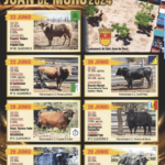 TOROS SANT JOAN DE MORÓ 22 A 29 JUNIO 2024