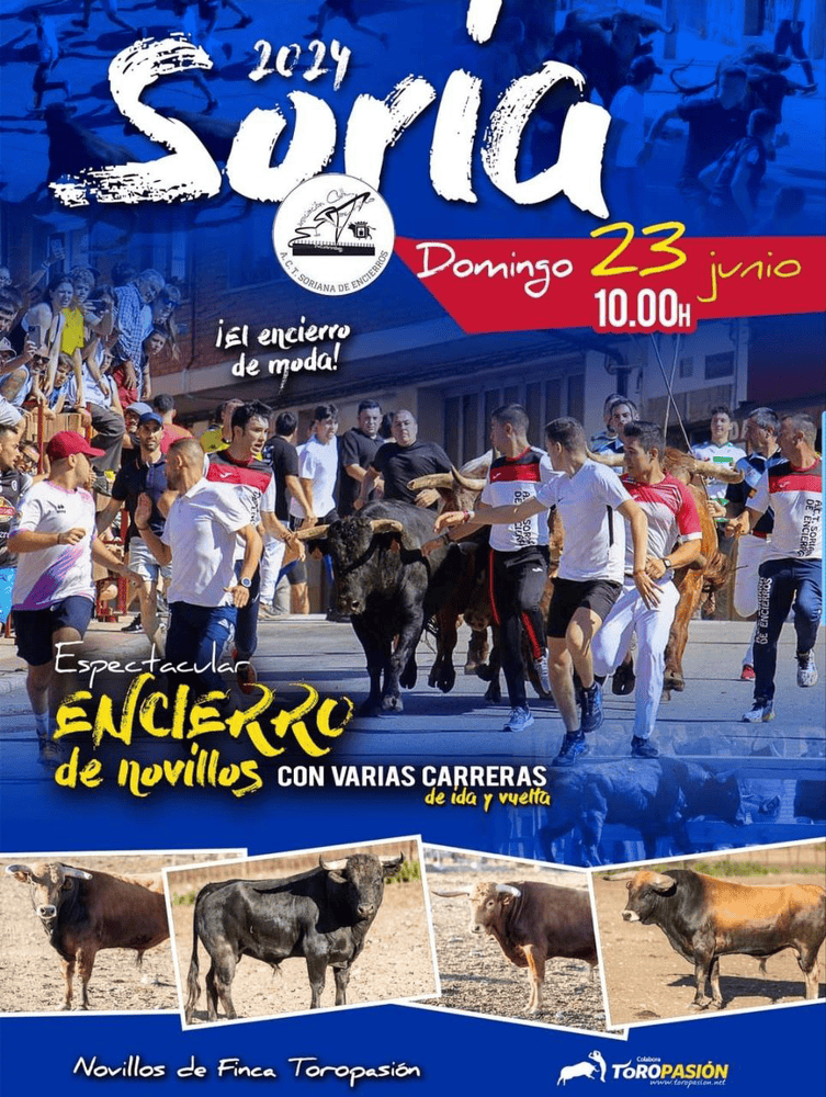 TOROS SORIA 23 JUNIO 2024