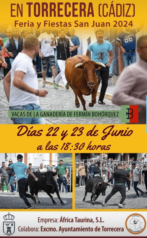 TOROS TORRECERA 22 Y 23 JUNIO 2024