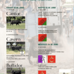 TOROS VALL D’UIXÓ 22 A 26 JUNIO 2024