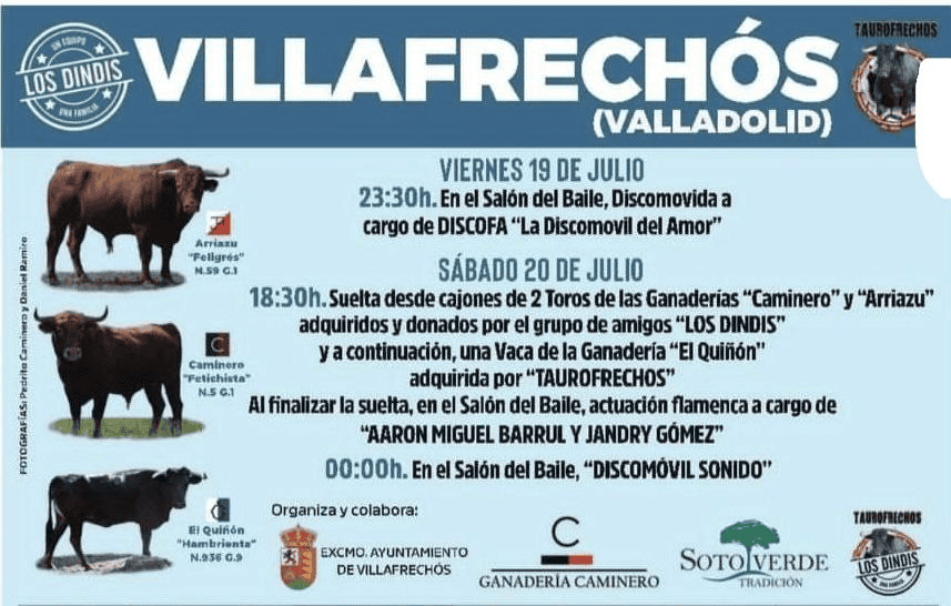 TOROS VILLAFRECHÓS 20 JULIO 2024