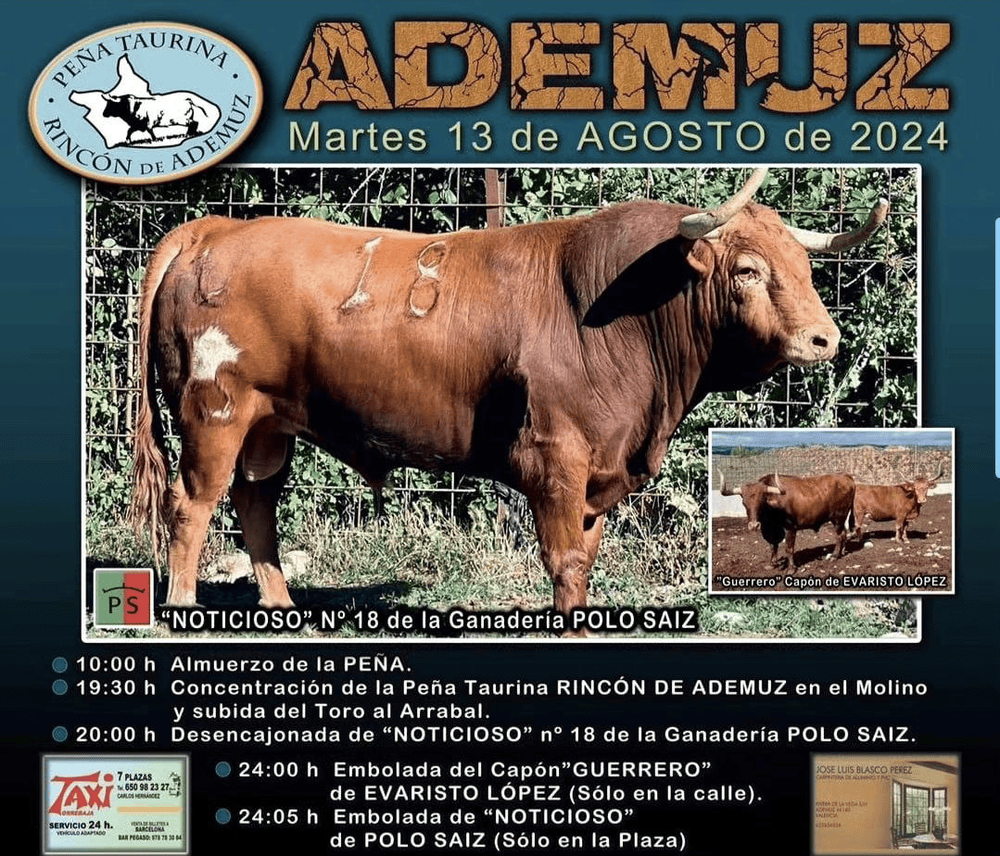 TOROS ADEMUZ 13 AGOSTO 2024