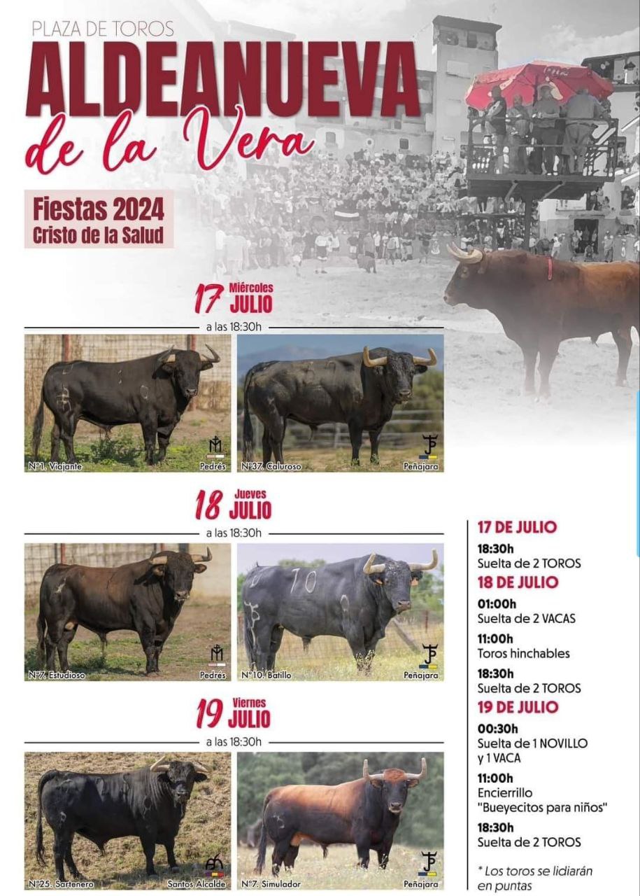 TOROS ALDEANUEVA DE LA VERA 17 A 19 JULIO 2024