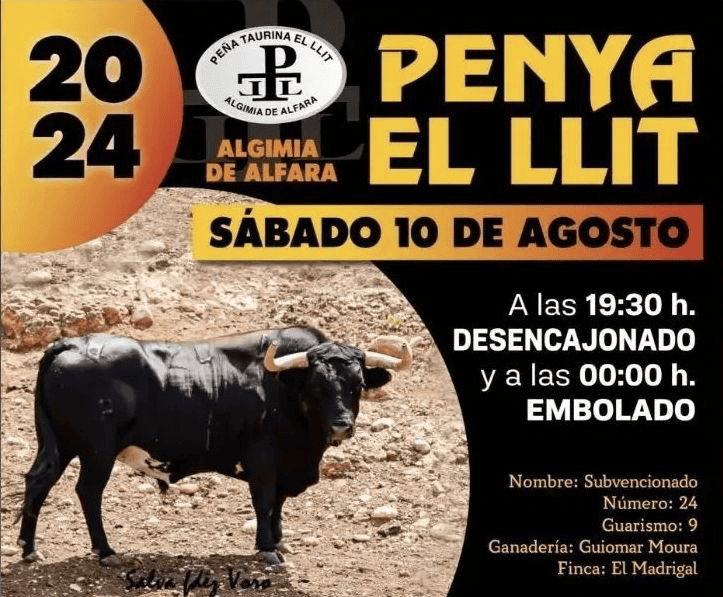 TOROS ALGIMIA DE ALFARA 10 AGOSTO 2024