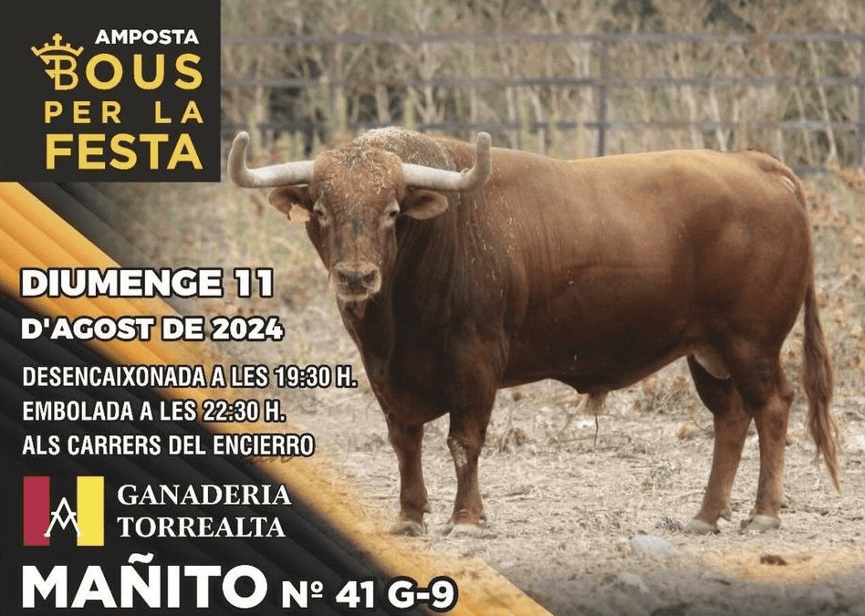 TOROS AMPOSTA 11 AGOST 2024