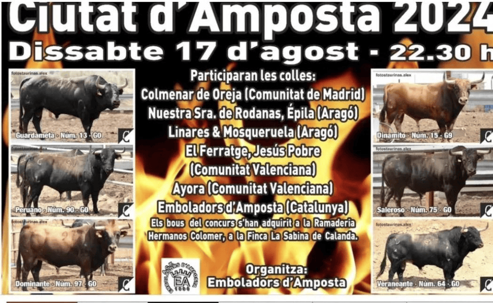 TOROS AMPOSTA 17 AGOSTO 2024