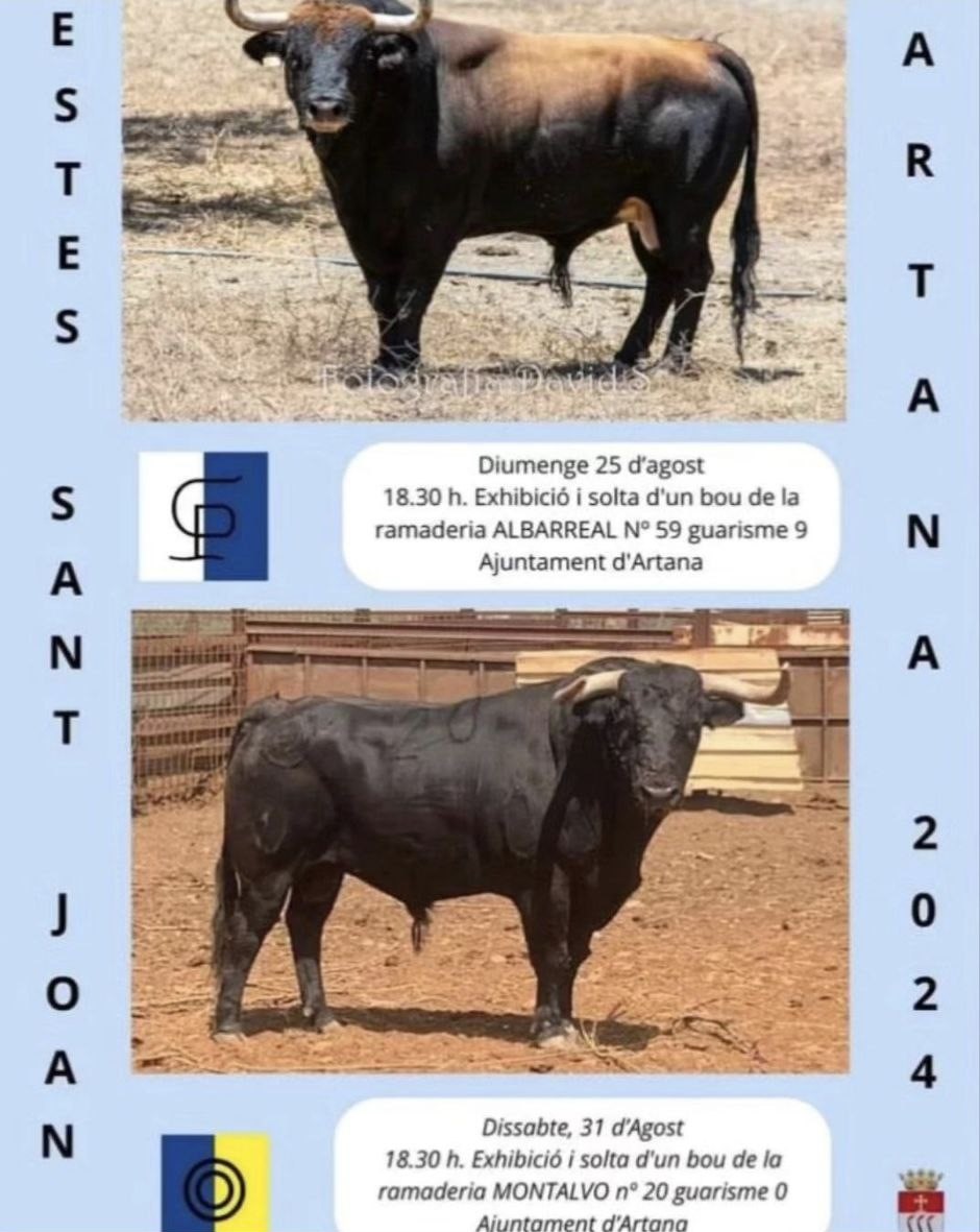 TOROS ARTANA 25 Y 31 AGOSTO 2024