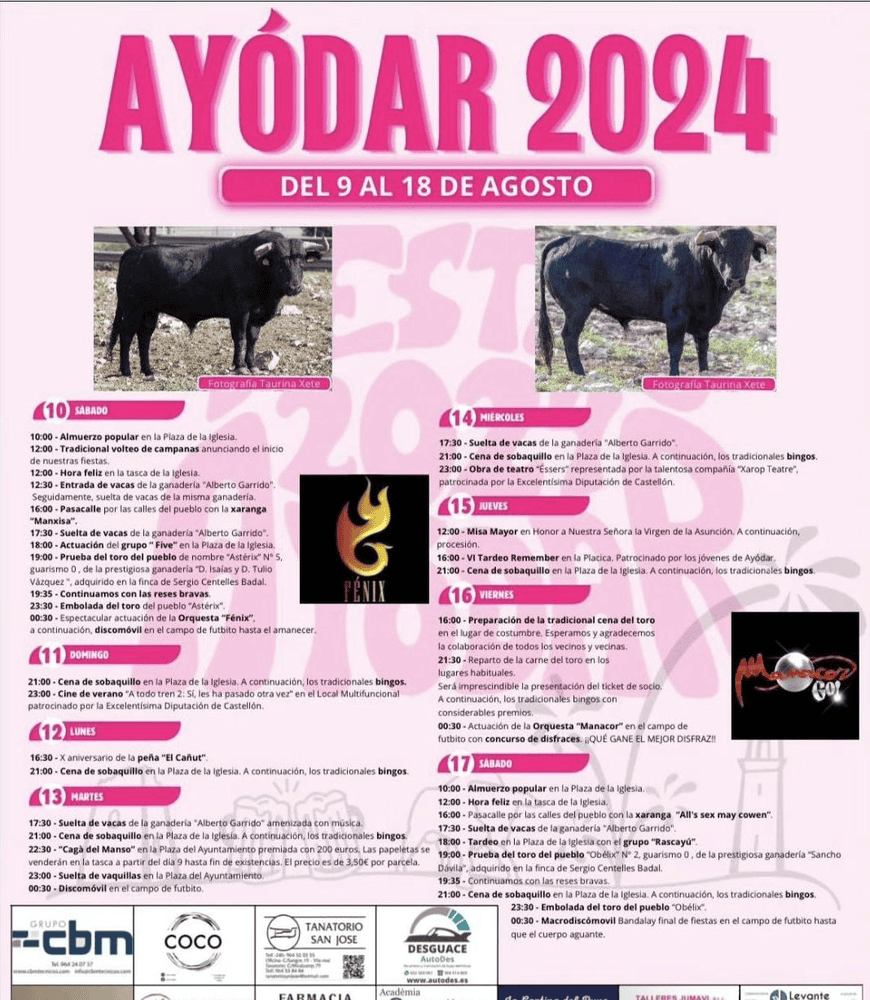 TOROS AYÓDAR 10 A 17 AGOSTO 2024