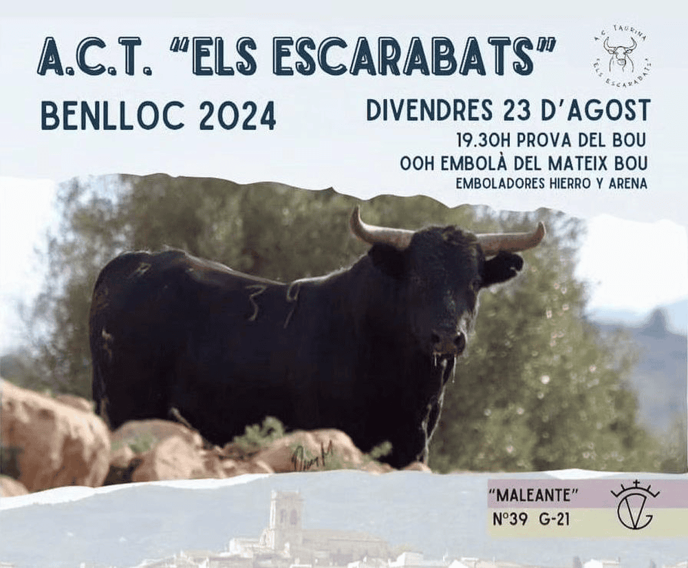 TOROS BENLLOC 23 AGOST 2024