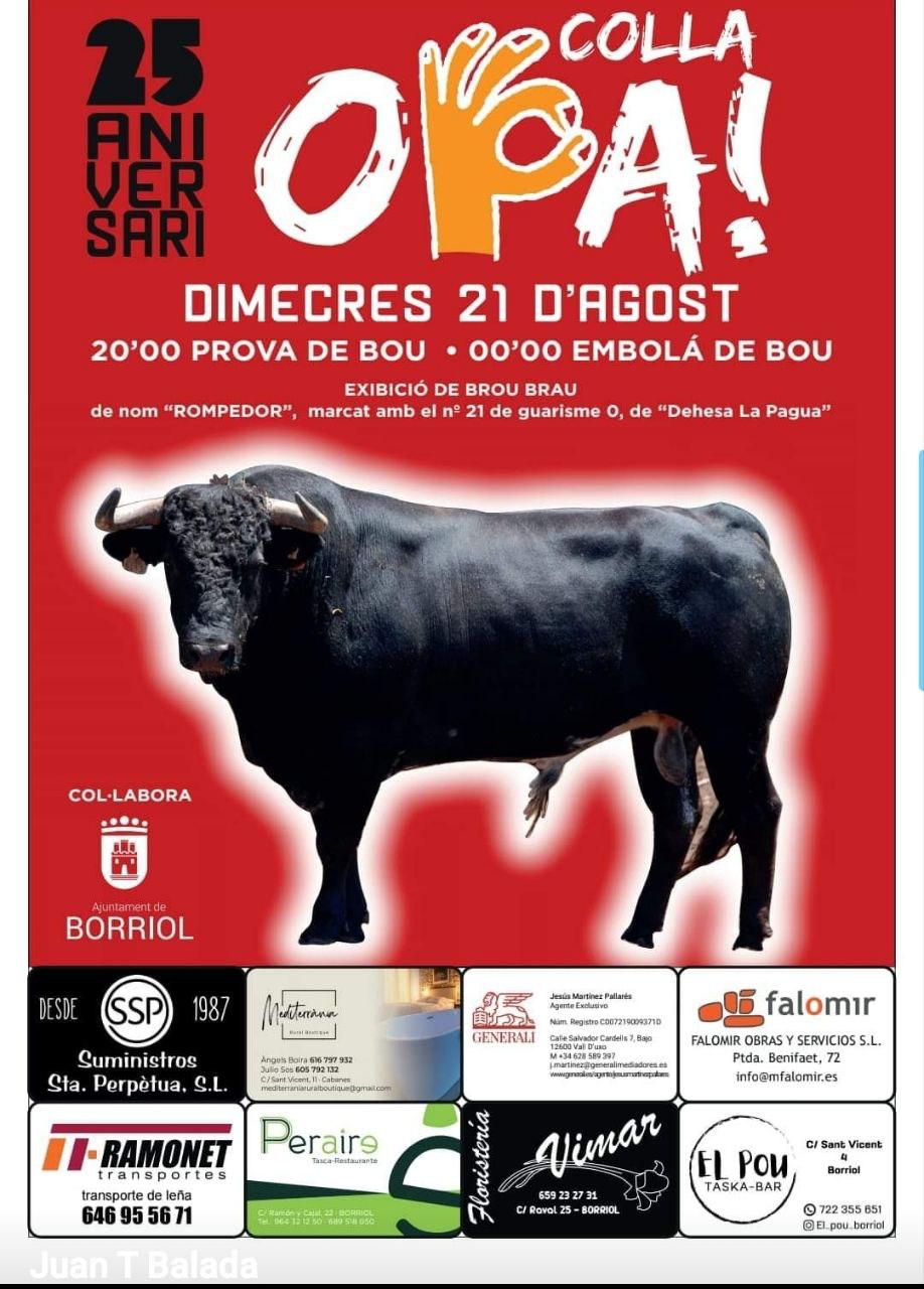 TOROS BORRIOL 21 AGOSTO 2024