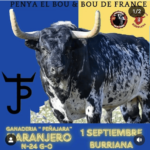 TOROS BURRIANA 1 SEPTIEMBRE 2024