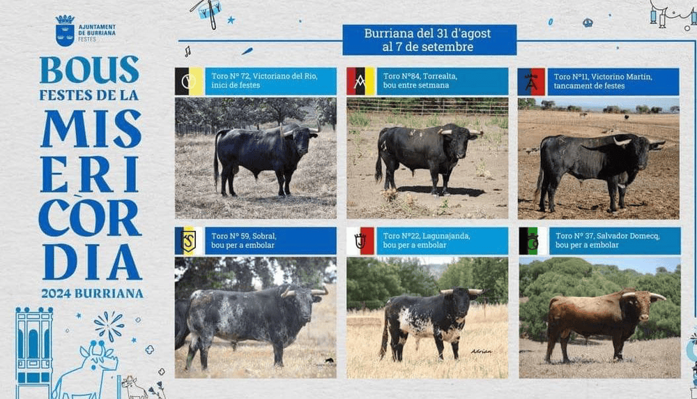 TOROS BURRIANA 31 AGO A 7 SET 2024