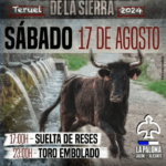 TOROS CAMARENA DE LA SIERRA 17 AGOSTO 2024