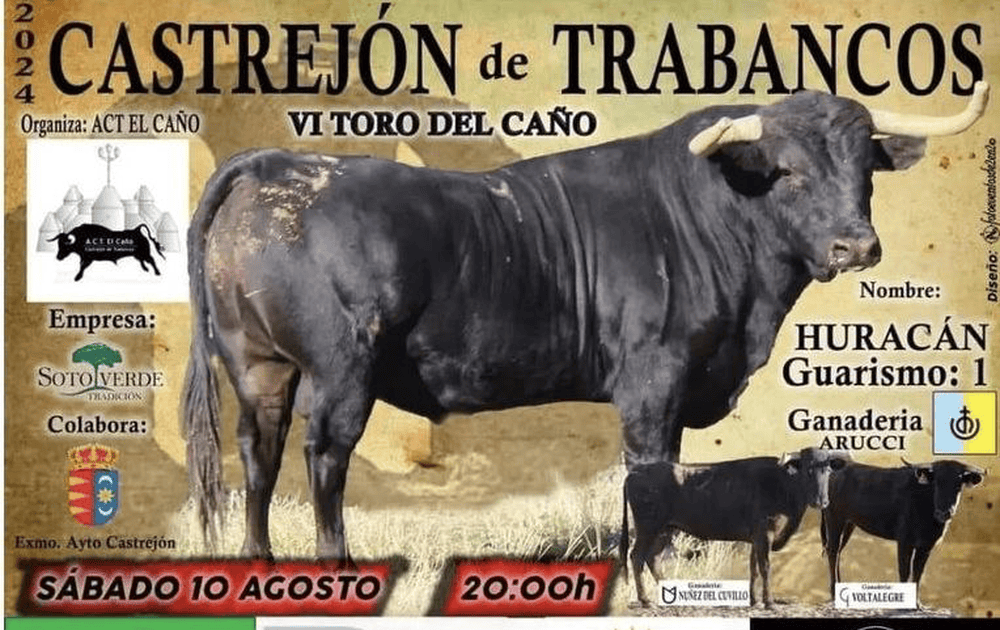 TOROS CASTREJÓN DE TRABANCOS 10 AGOSTO 2024