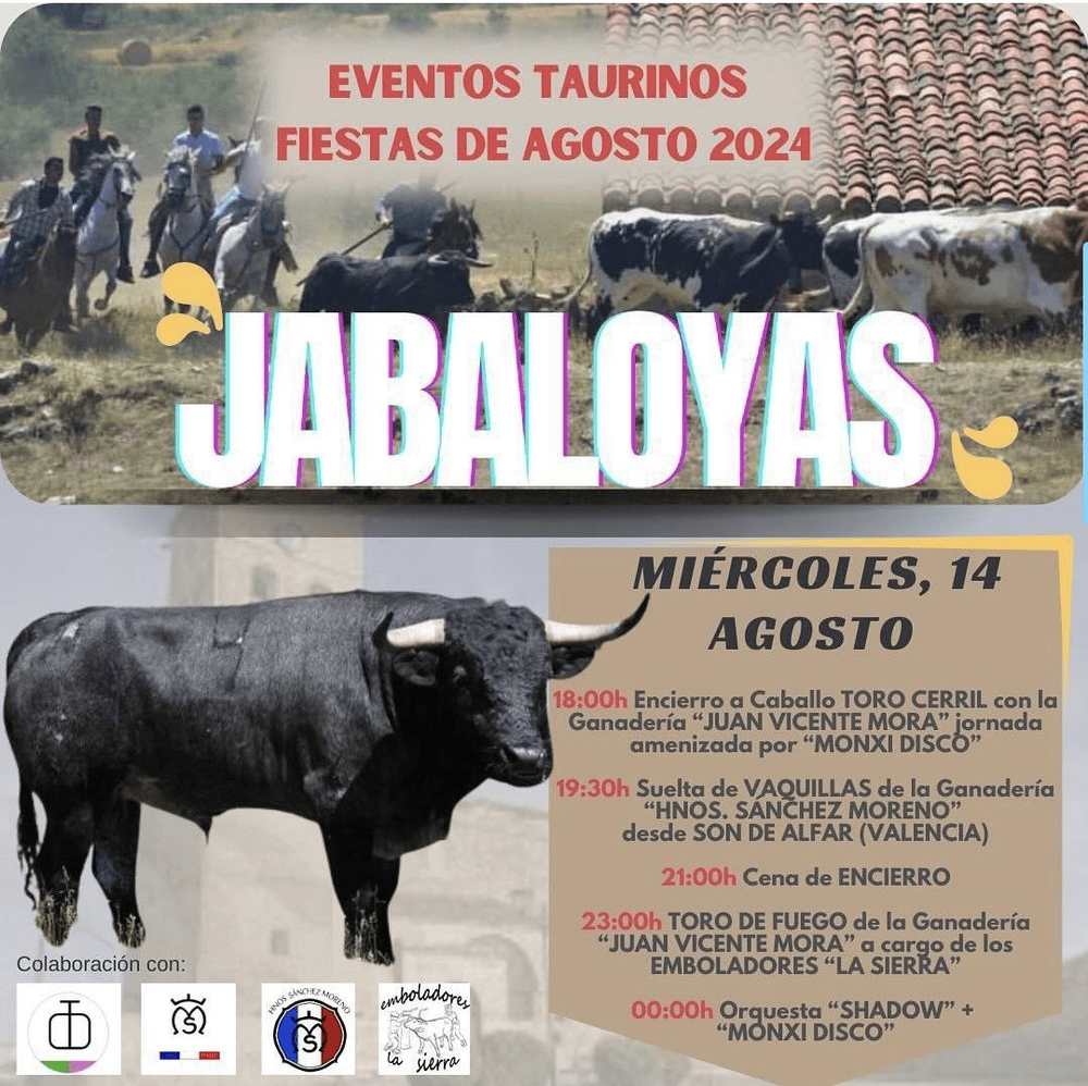 TOROS JABALOYAS 14 AGOSTO 2024