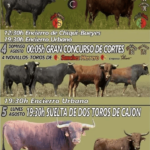 TOROS LA BÓVEDA DE TORO 2 A 6 AGOSTO 2024