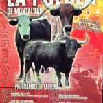 TOROS LA PUEBLA DE MONTALBÁN 15 A 22 JULIO 2024