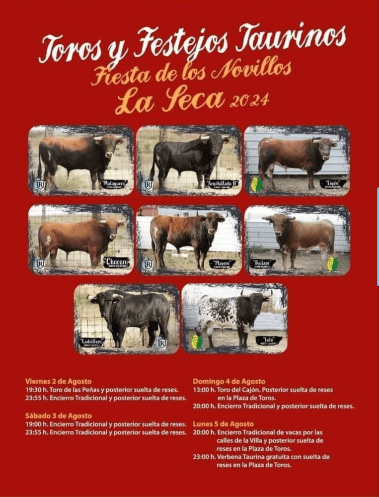 TOROS LA SECA 2 A 5 AGOSTO 2024