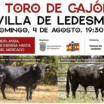 TOROS LEDESMA 4 AGOSTO 2024