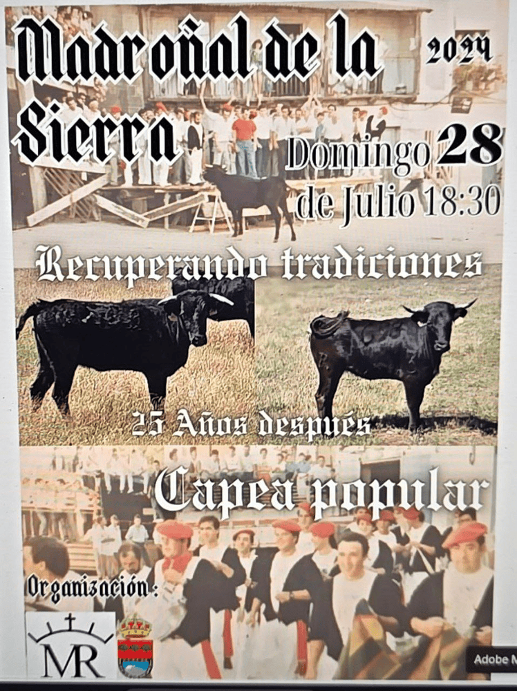 TOROS MADROÑAL DE LA SIERRA 28 JULIO 2024