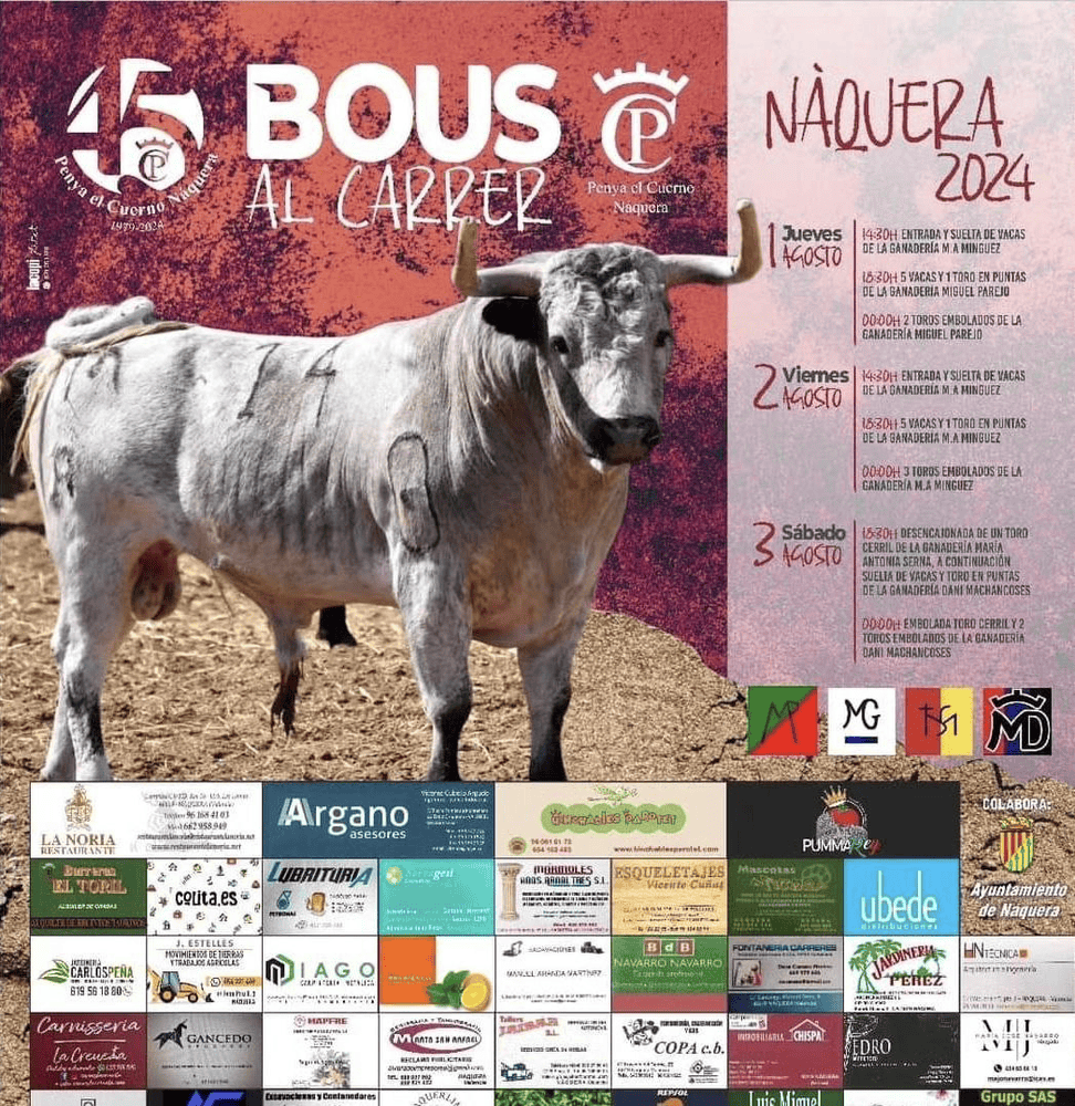 TOROS NÀQUERA 1 A 3 AGOSTO 2024