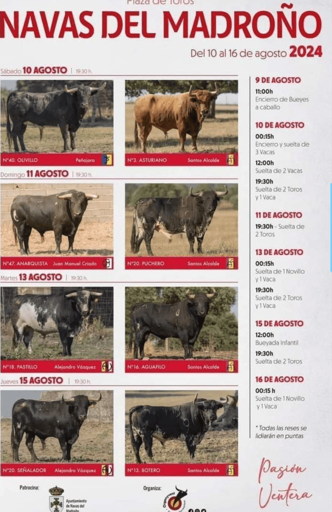 TOROS NAVAS DEL MADROÑO 9 A 16 AGOSTO 2024